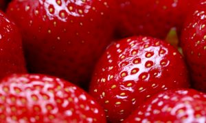 strawberrieslandscape